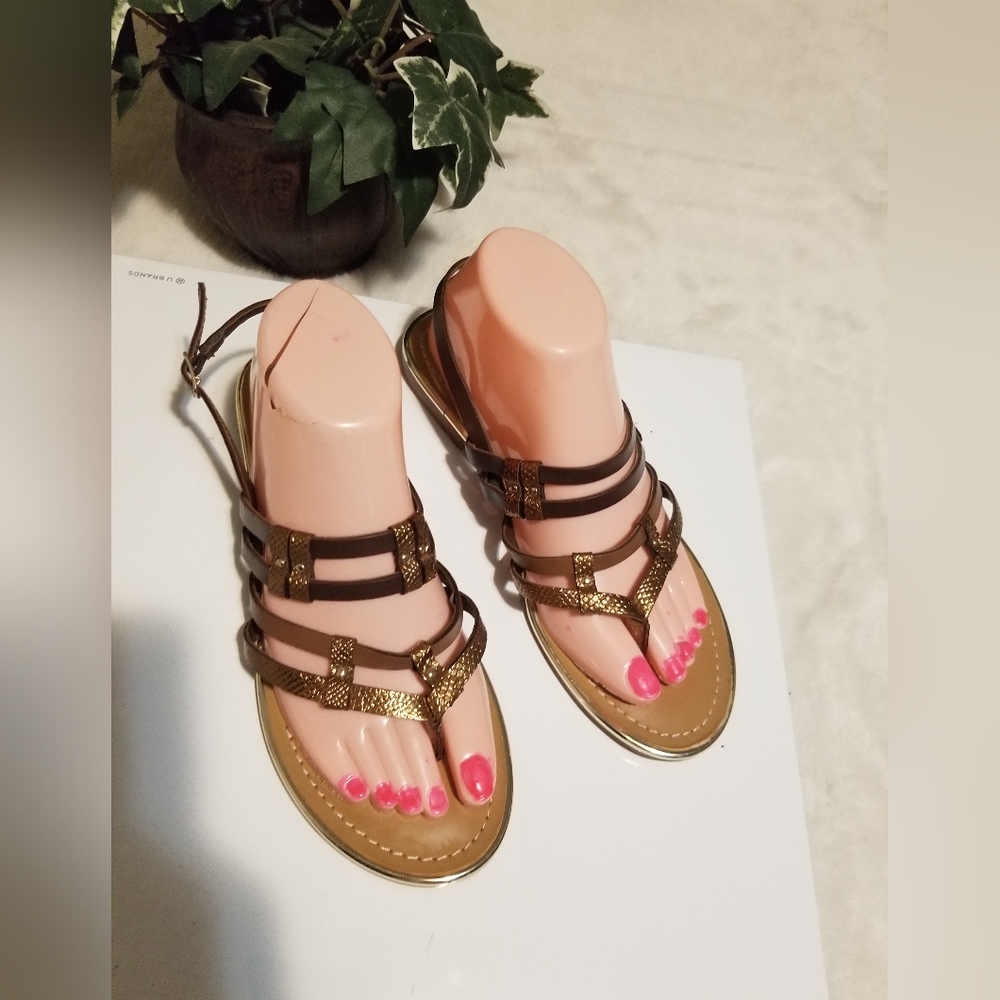 Elegant Brown Strappy Sandals